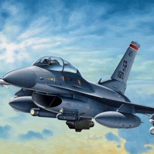 F-16 C/D "Night Falcon" 1/1