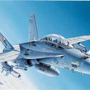 F/A 18 Hornet 1/1